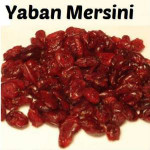 YABAN MERSİNİ 500 GR 