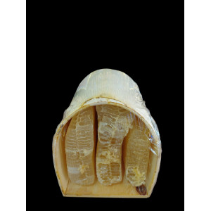 BOZYİĞİT TÜNEL KARAKOVAN BALI 3,200 GR BOZYİĞİT TÜNEL KARAKOVAN BALI 3,200 GR